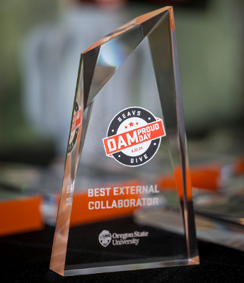 BodyPhoto_Dammys_2024_AcrylicAward A clear acrylic dammy award.