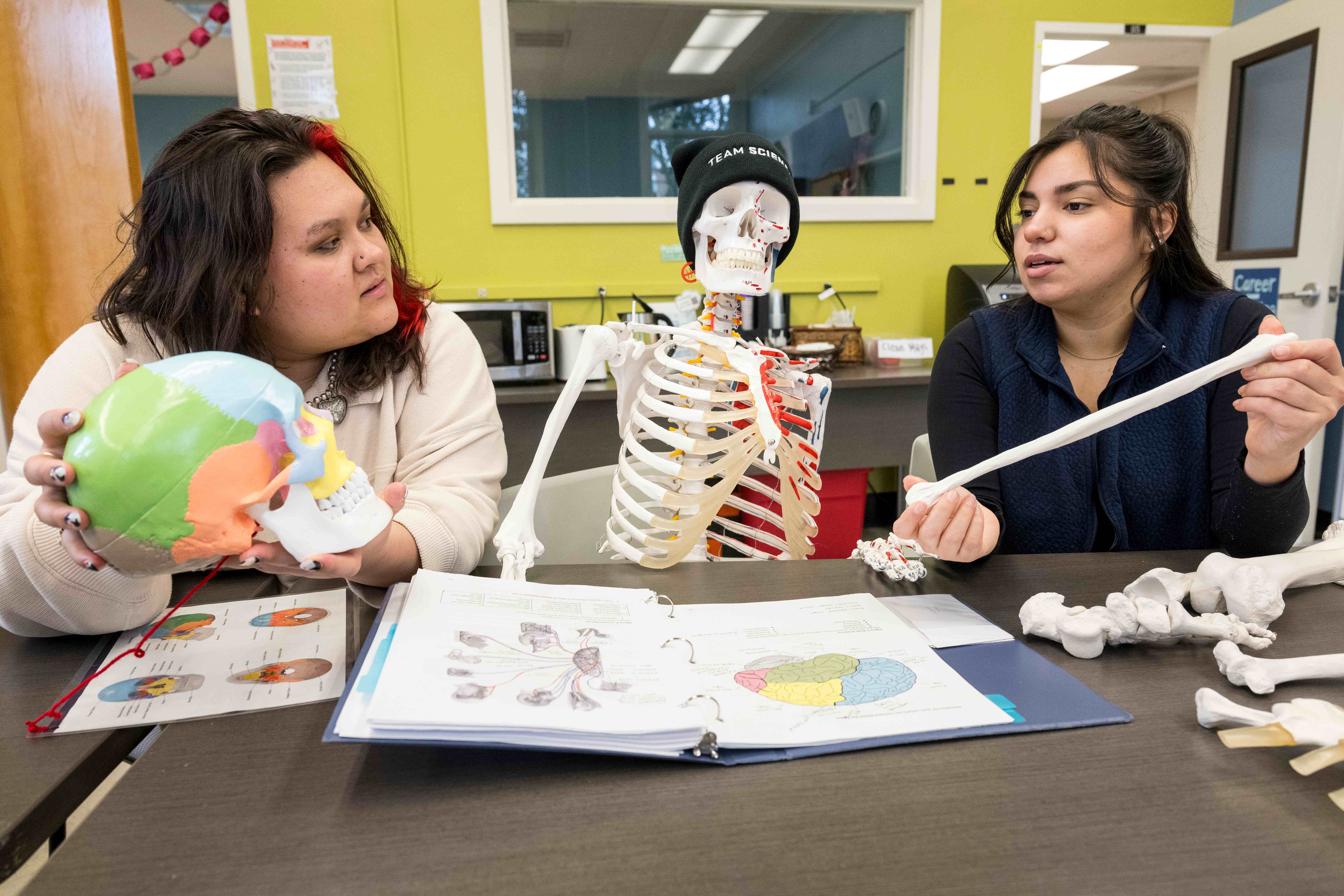 Two students studying using anatomy models