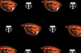 Beaver head and Timbers logo