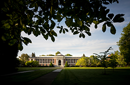 The Memorial Union in the background with a silhouette of a tree, leaves and lawn framing the building.