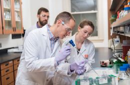 Public Health students testing in a lab