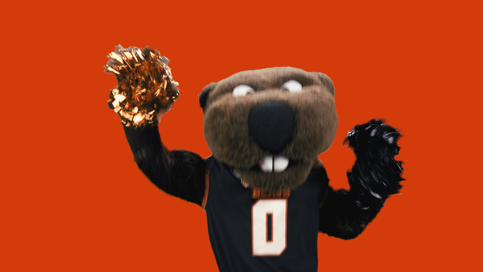 Benny dancing with pom poms with an orange background