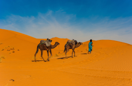 MoroccanDiscovery_260 x 170