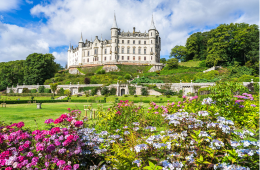 Scotland 260 x 170