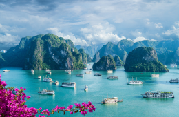 Vietnam 260 x 170
