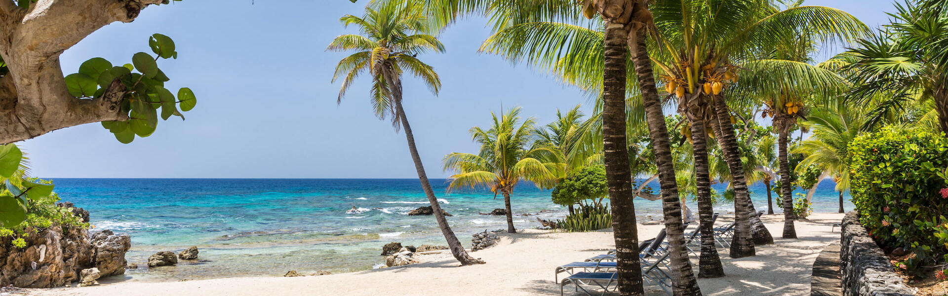 Roatan, Honduras view of the sandy beach with palm trees