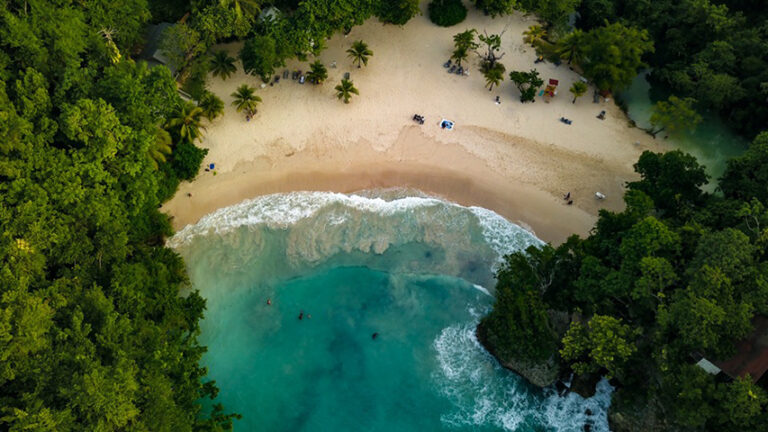 Taste of the carribean