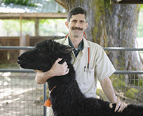 Christopher Cebra outdoors with a black llama