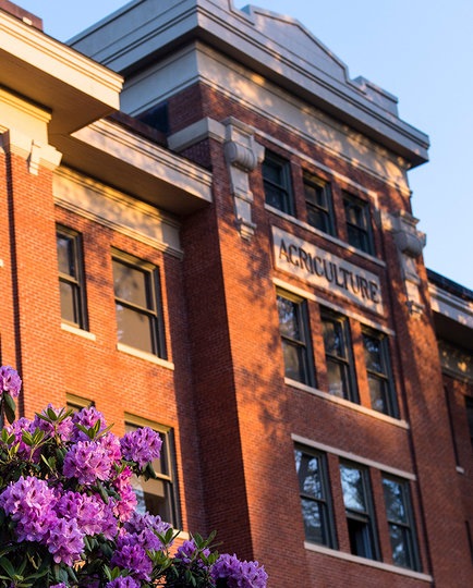 OSU Campus Agricultural Building with purple flowers