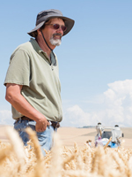 Robert Zemetra in a field of wheat