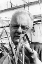 Headshot of Warren Kronstad looking at wheat crops, in black and white