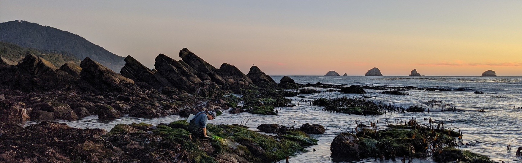 Oregon coast with rocky landscape and ocean, student surveying land