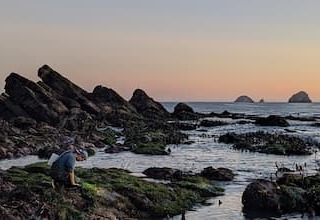 Oregon coast with rocky landscape and ocean, student surveying land