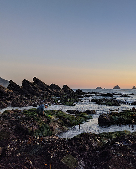 Oregon coast with rocky landscape and ocean, student surveying land