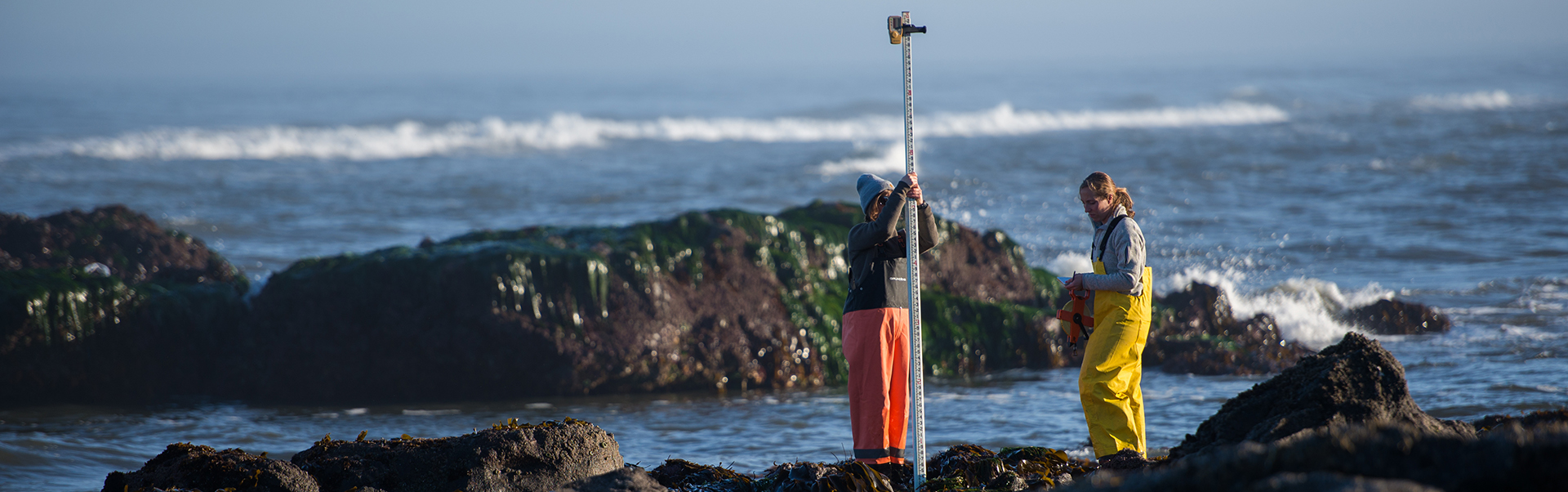 Research on the Oregon coast