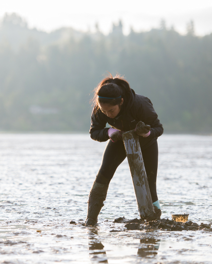 Student collecting samples in water on the oregon coast