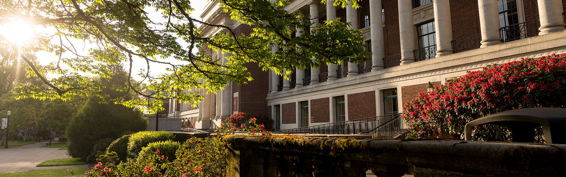 Image of campus building with green trees and bushes, sunlight shining through the trees