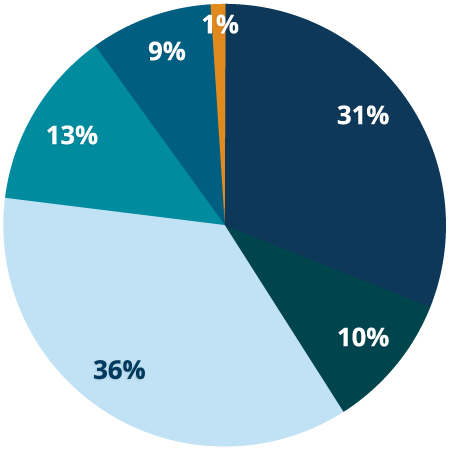 PieChart_DPD_ImpactReport26_450 Pie chart percentages of individual donors.