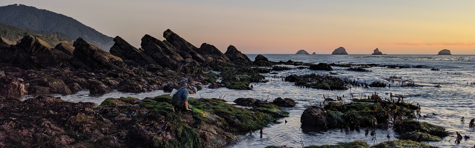 Student observing the environment on the Oregon coast, with the ocean and rocks on the coast. Image