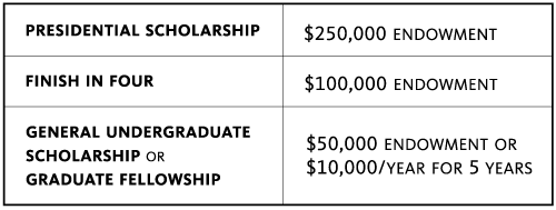 Chart showing the minimum gift levels to endow or name scholarship and fellowship funds.