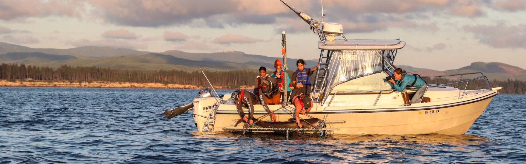 A research vessel in the ocean pulls a shark aboard with the help of 5 people.