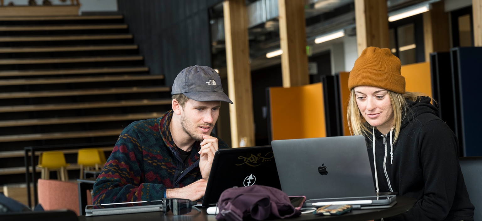 Photo of two students studying at their computers