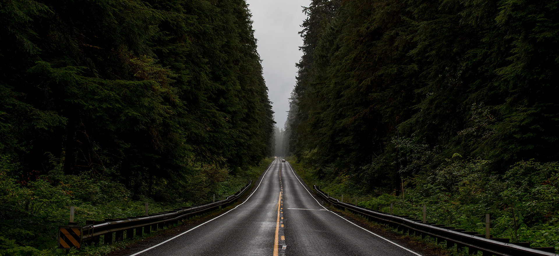 Dark, moody image. A grey road between dark green pine trees with an overcast sky.