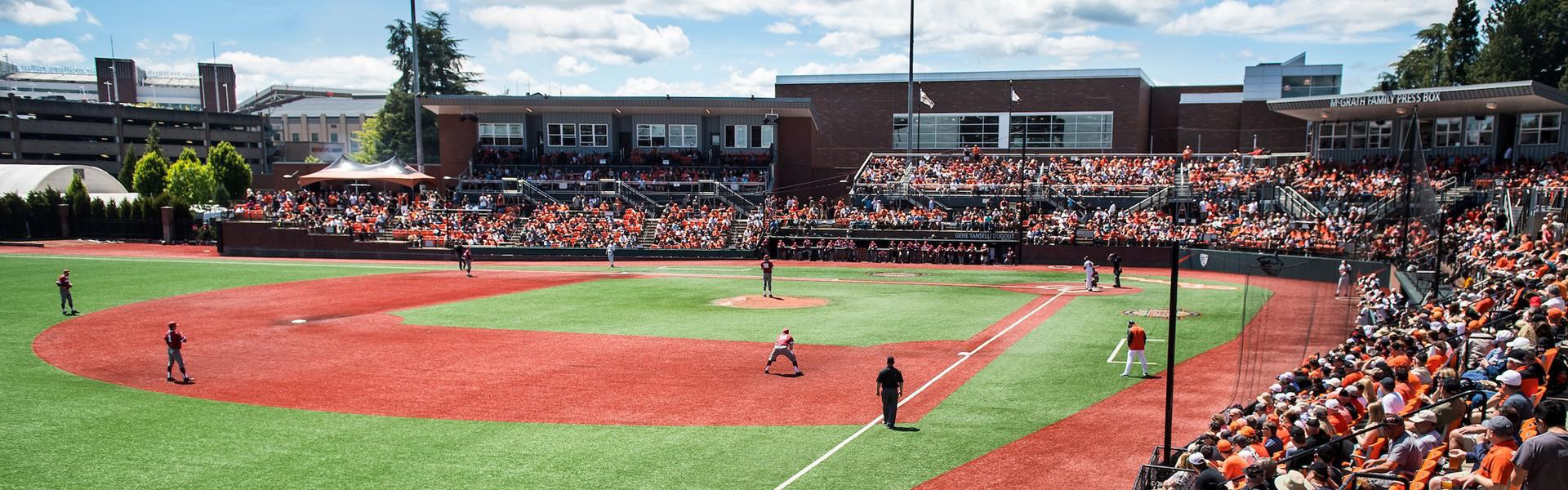 OSU Baseball game on a sunny day