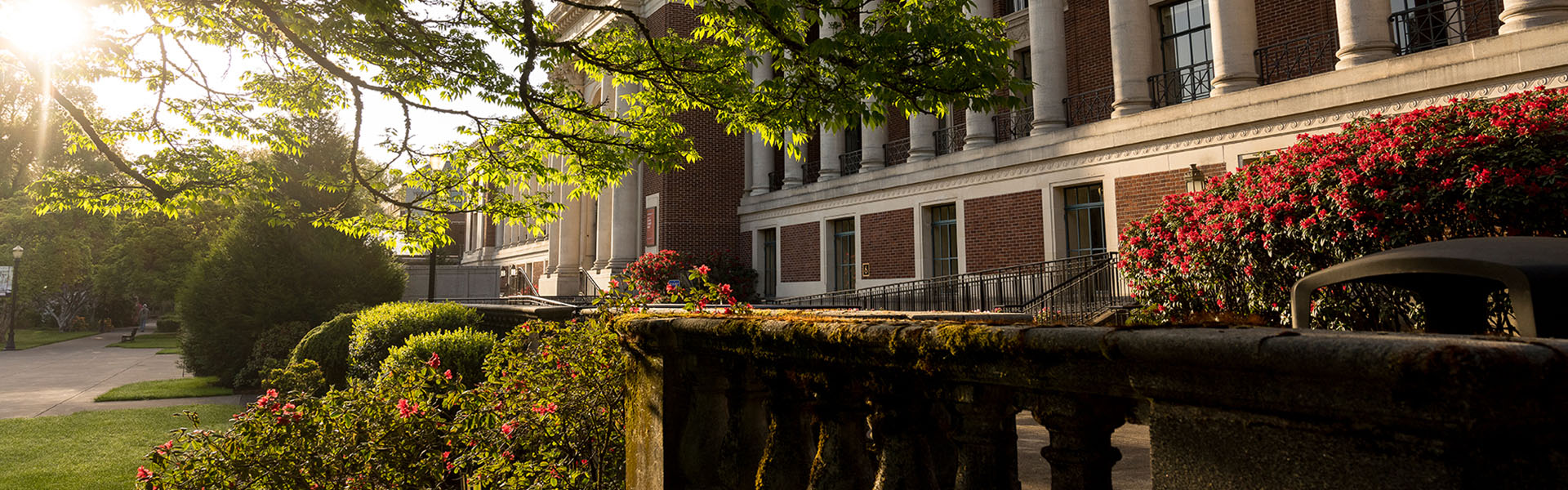 A sideview of the Memorial Union with branches framing the top of the image.