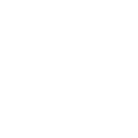 Dollars white icon