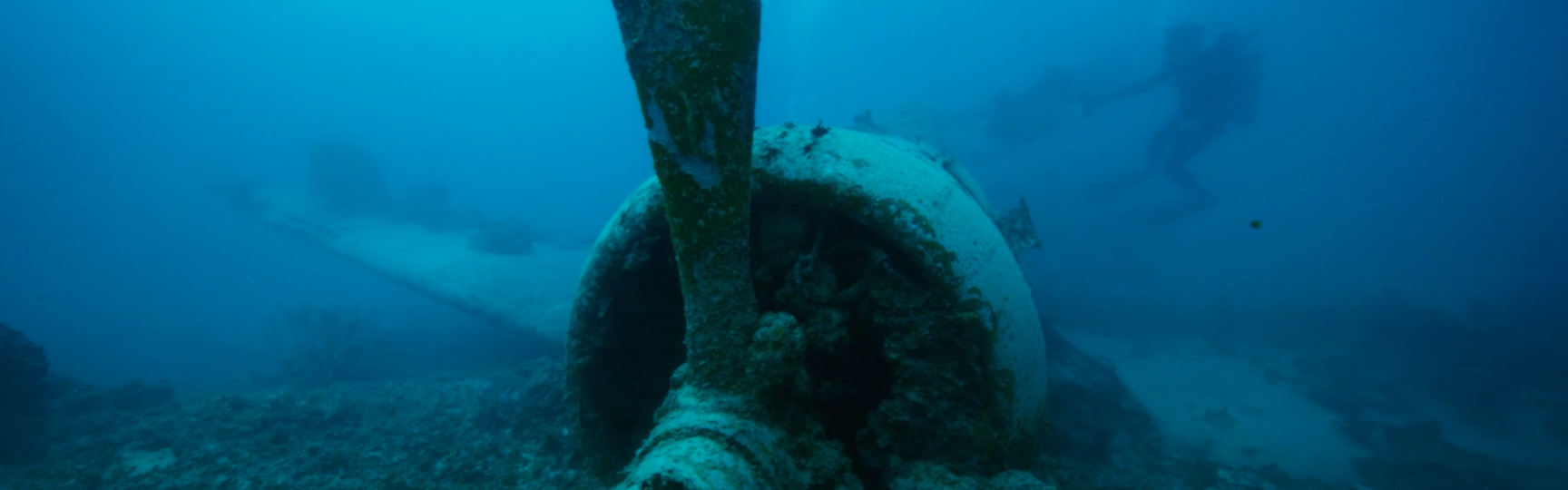 A plane part on the ocean floor