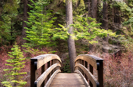 Sitefinity_Thumbnail_260x170(3)