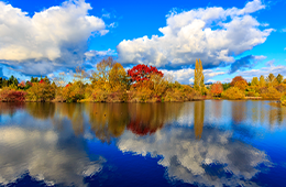 Sitefinity_Thumbnail_260x170_Beaverton