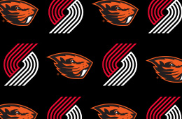 Sitefinity_Thumbnail_260x170_Blazers