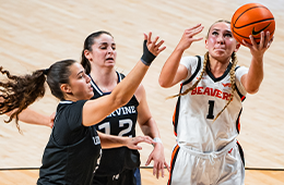 Sitefinity_Thumbnail_260x170_WBB