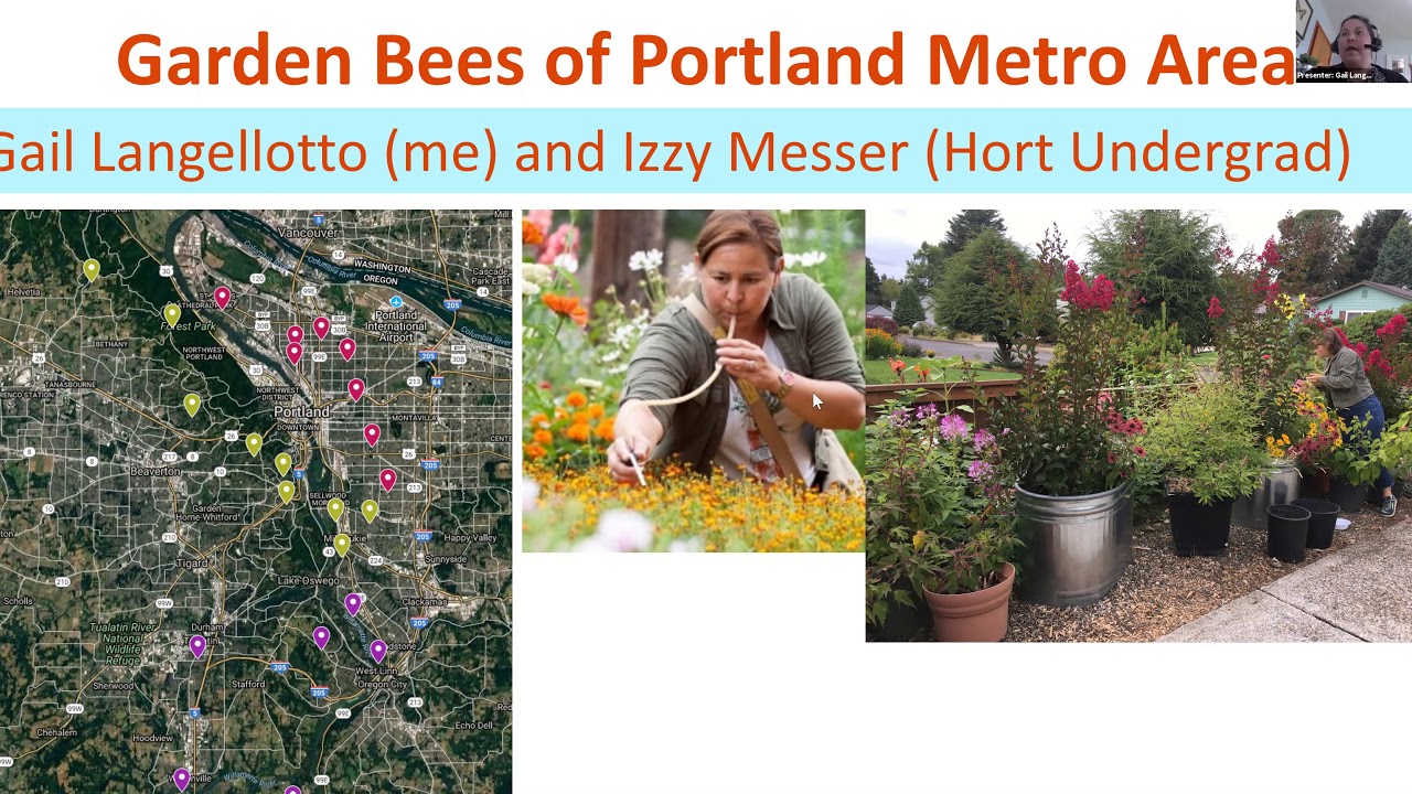 "Garden Bees of Portland Metro Area, Gail Langellotto and Izzy Messer (Hort Undergrad)" text with image of map, woman gardening and flowers