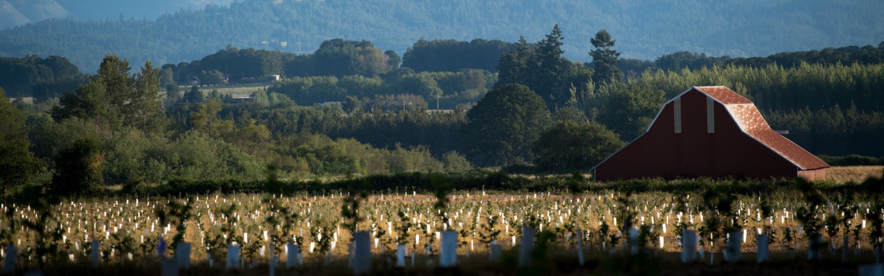 Landscape shot of a farm